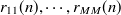 $r_{11}(n), \cdots , r_{MM}(n)$