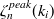 $\displaystyle  \zeta ^{peak}_ n(k_ i)  $